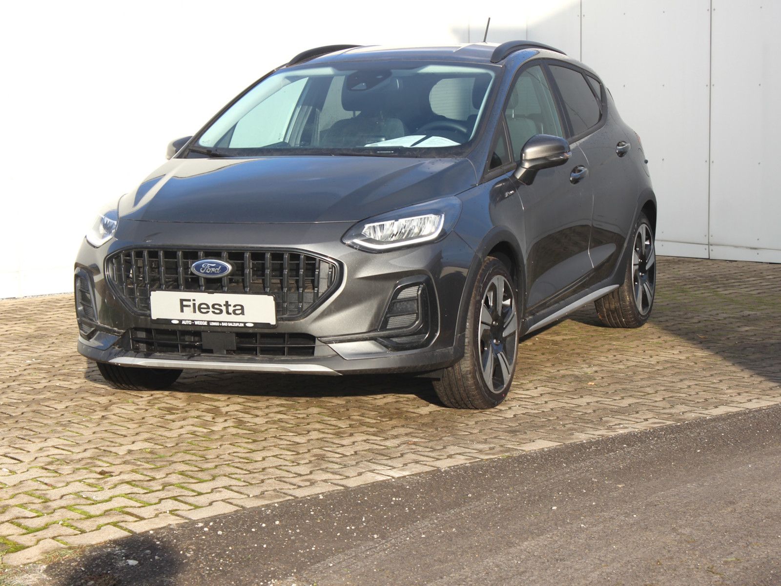 Fahrzeugabbildung Ford Fiesta Active 1,0 EcoBoost Hybrid