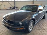 Ford Mustang 4.0 V6 Cabrio *Leder* - Ford Mustang in Berlin