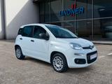 Fiat Panda Easy 1.2 51kW (69 PS) - Fiat Panda mit Benzin-Antrieb: Kleinwagen, Klimaanlage, 1.1