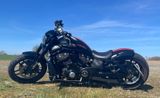 Harley-Davidson Night rod - GEBRAUCHT KIEL