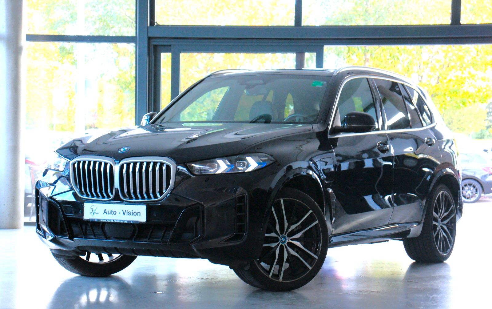 BMW X5 X5 xDrive50e (G05) M Sport *A-LED*SkyLounge*ACC
