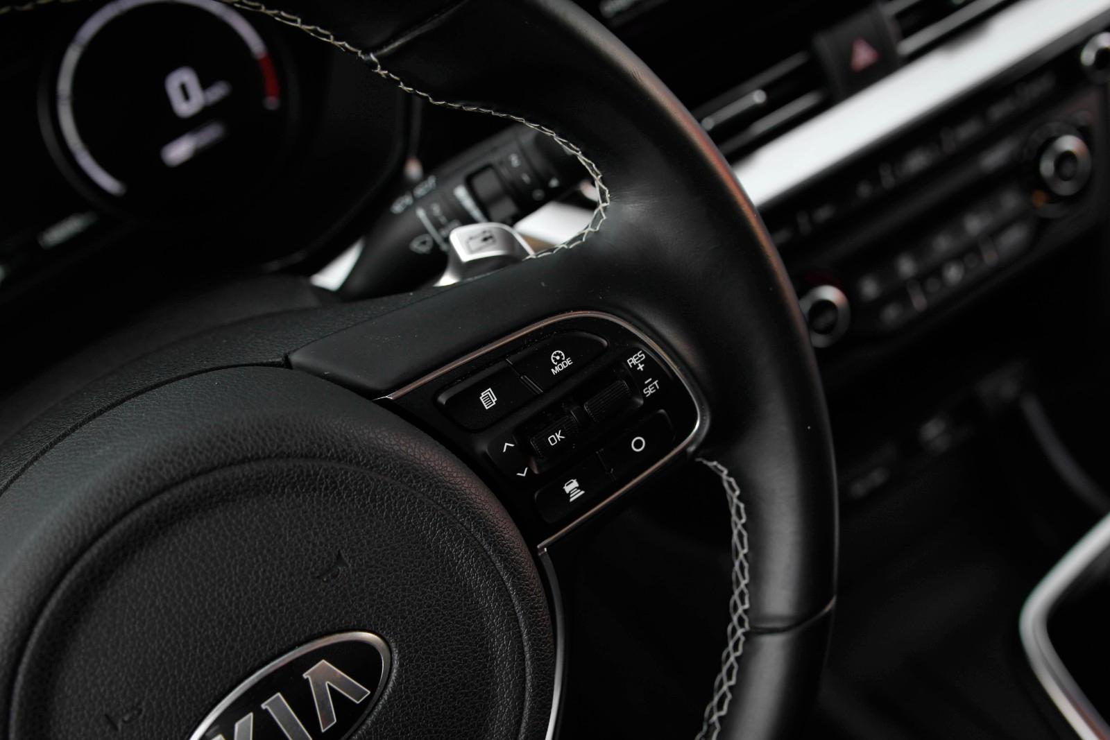 Kia e-Niro DynamicLine 64 kWh/SOH99,7%/Leder/15538ne