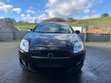 Fiat Bravo TUF neu - Fiat Bravo: Kleinwagen