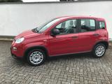 Fiat Panda MY24 1.0 GSE Hybrid Klimaanlage - Fiat Panda Gebrauchtwagen in Aachen