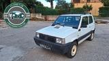 Fiat Panda 1100 i.e. cat 4x4 Trekking - Fiat Panda aus 1999