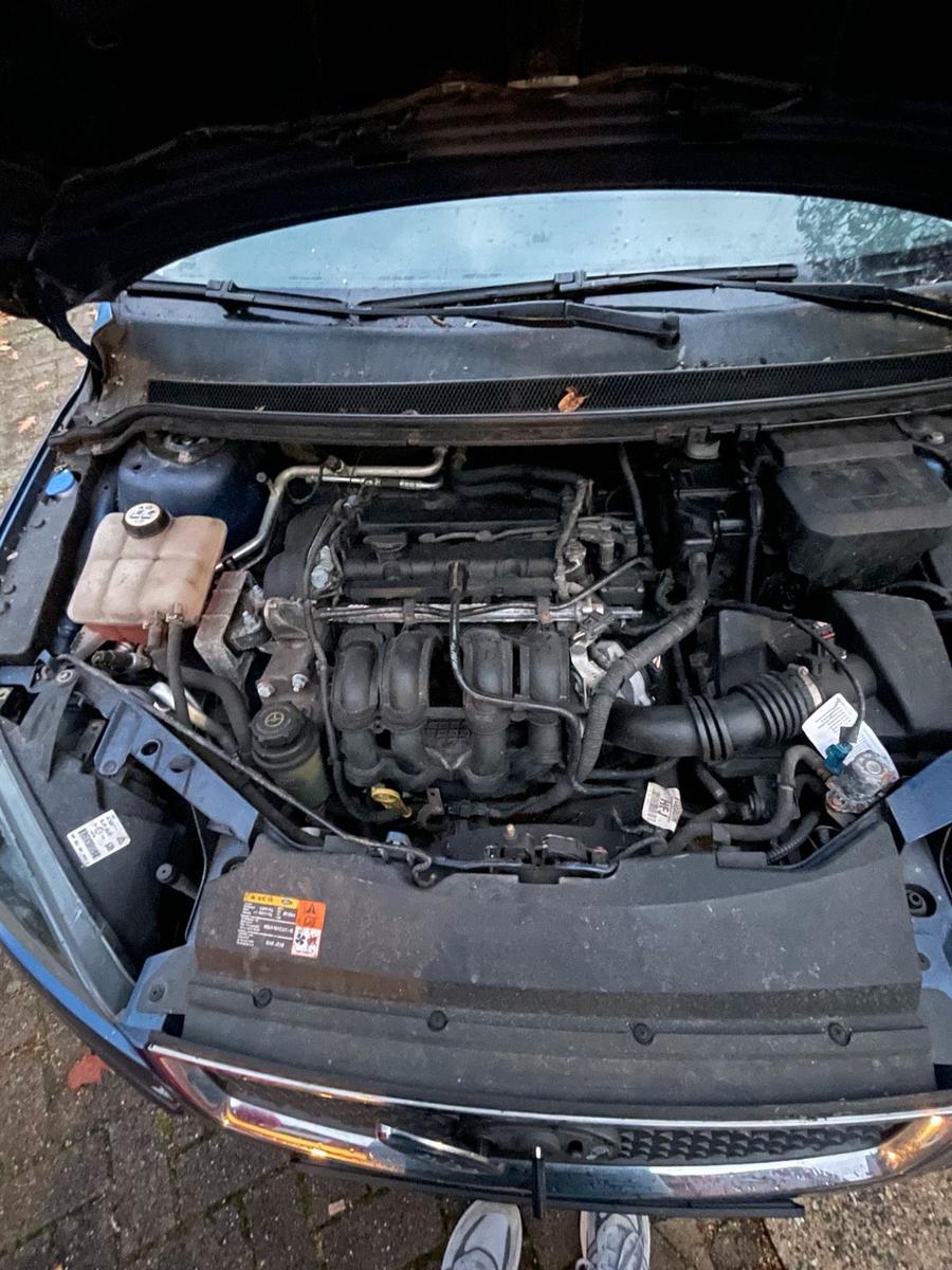 Ford Focus 2005 — photo 14
