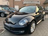 Volkswagen New Beetle 1.2 Design Panoramadach Bi-Xenon - Volkswagen New Beetle mit Benzin-Antrieb