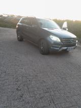 Mercedes-Benz ML 250 BlueTEC 4MATIC - - Mercedes-Benz ML 250 aus 2011