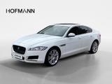 Jaguar XF20d Prestige Bi-Xenon+Ambiente+Navi+ - Jaguar XF Gebrauchtwagen