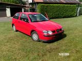 Seat Ibiza Freeze 1.4 Freeze 6K,  - gebrauchte Seat Ibiza aus dem Jahr 2000