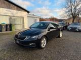 Skoda Octavia Lim. Style - Skoda Octavia mit Benzin-Antrieb: Limousine, Automatik