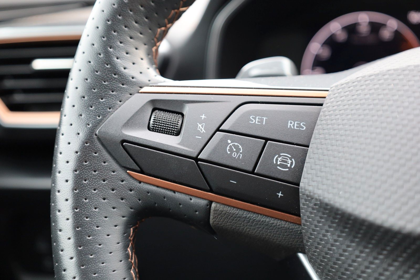 Fahrzeugabbildung CUPRA Sportstourer 2,0 TSI DSG *AHZV *Leder *PANO