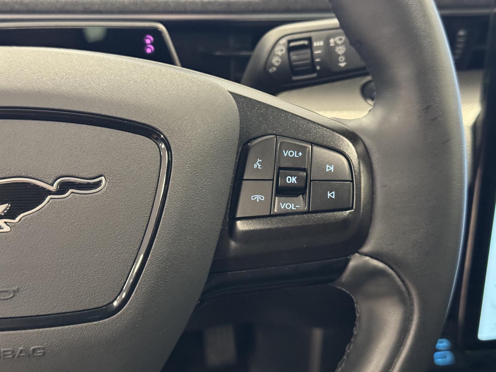 Ford MACH-E 75 kWh Pano Leder LED Navi R.Cam ACC PDC 