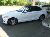 BMW Cabrio 218 d Advantage Automatik Sport/Leder M-T - BMW 218: 218d