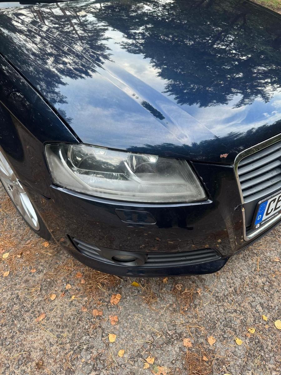 Audi A3 2009 — rear view