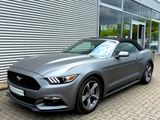 Ford Mustang Cabrio - Ford Mustang in Köln