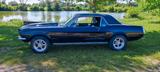 Ford Mustang Coupe 1967 S-Code - gebrauchte Ford Mustang aus dem Jahr 1967