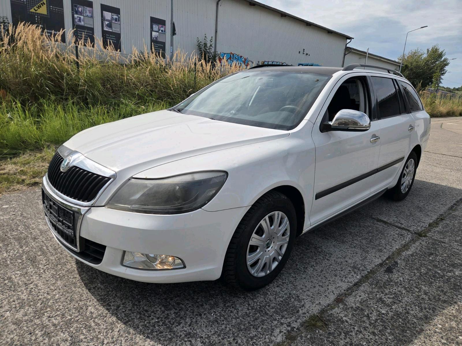 Skoda Octavia 2010 — rear view
