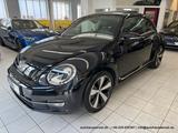 Volkswagen Beetle Lim. Sport 1.4 6-Gang - LEDER FENDER PANO - Volkswagen Beetle Gebrauchtwagen