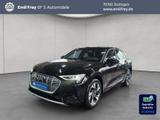 Audi e-tron 50 quattro S line - Audi e-tron: Teilleder