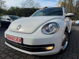 Volkswagen Beetle Lim. Cup*PDC*TEMPO*SHZ - Volkswagen Beetle: Cup