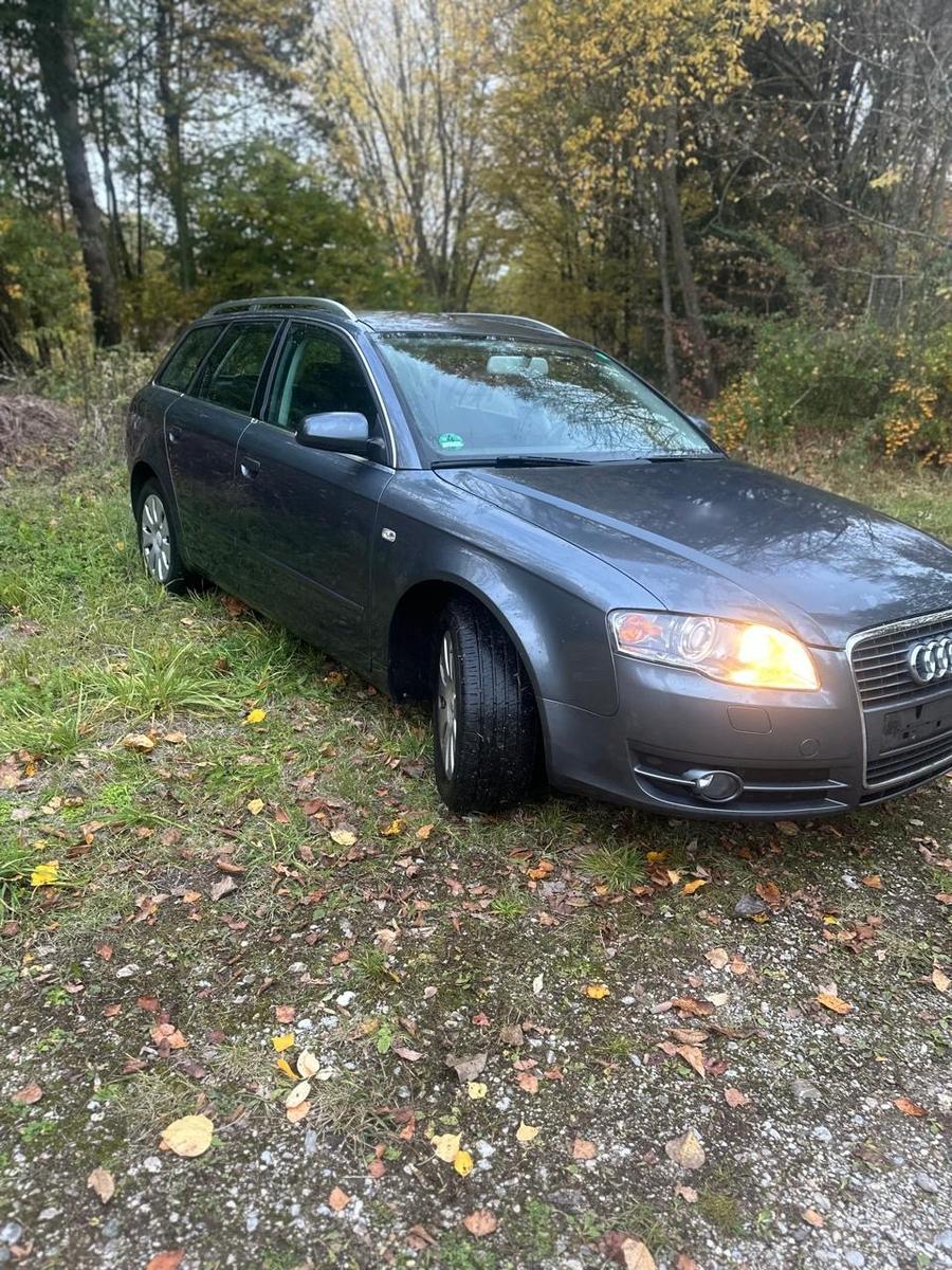 Audi A4 2005 — вигляд ззаду