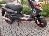 Pegasus Triumph GP 50 - PEGASUS MOTORRAD