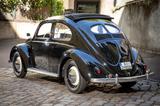 Volkswagen Käfer Brezel Faltdach Original 11G Matching - Volkswagen Käfer: Faltdach