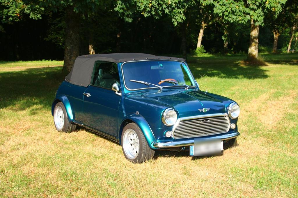 MINI 1300