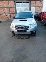 Subaru Forester - Subaru Forester aus 2010