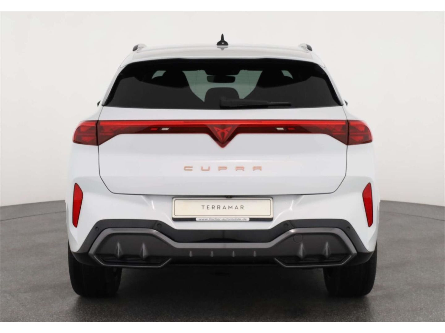 Cupra Terramar - Bild 6