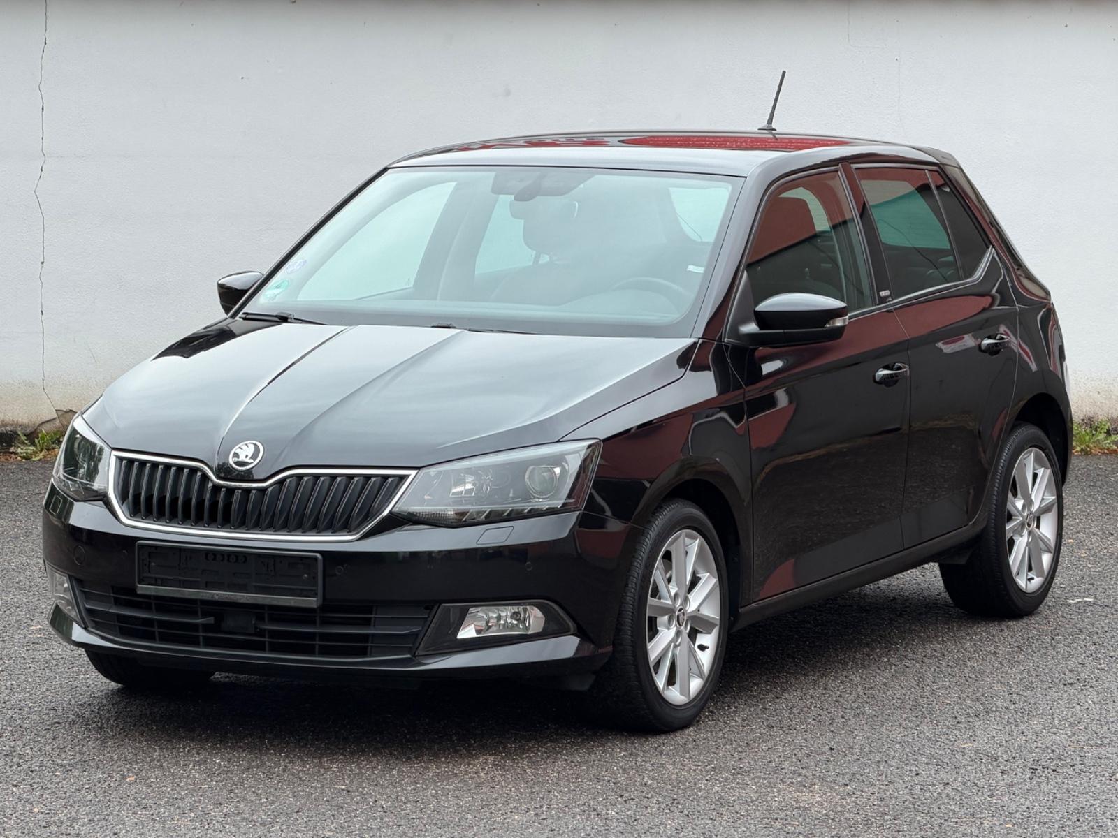 Skoda Fabia 1.2 TSI Joy *Klima*Xenon*Navi*Alu*Euro 6*