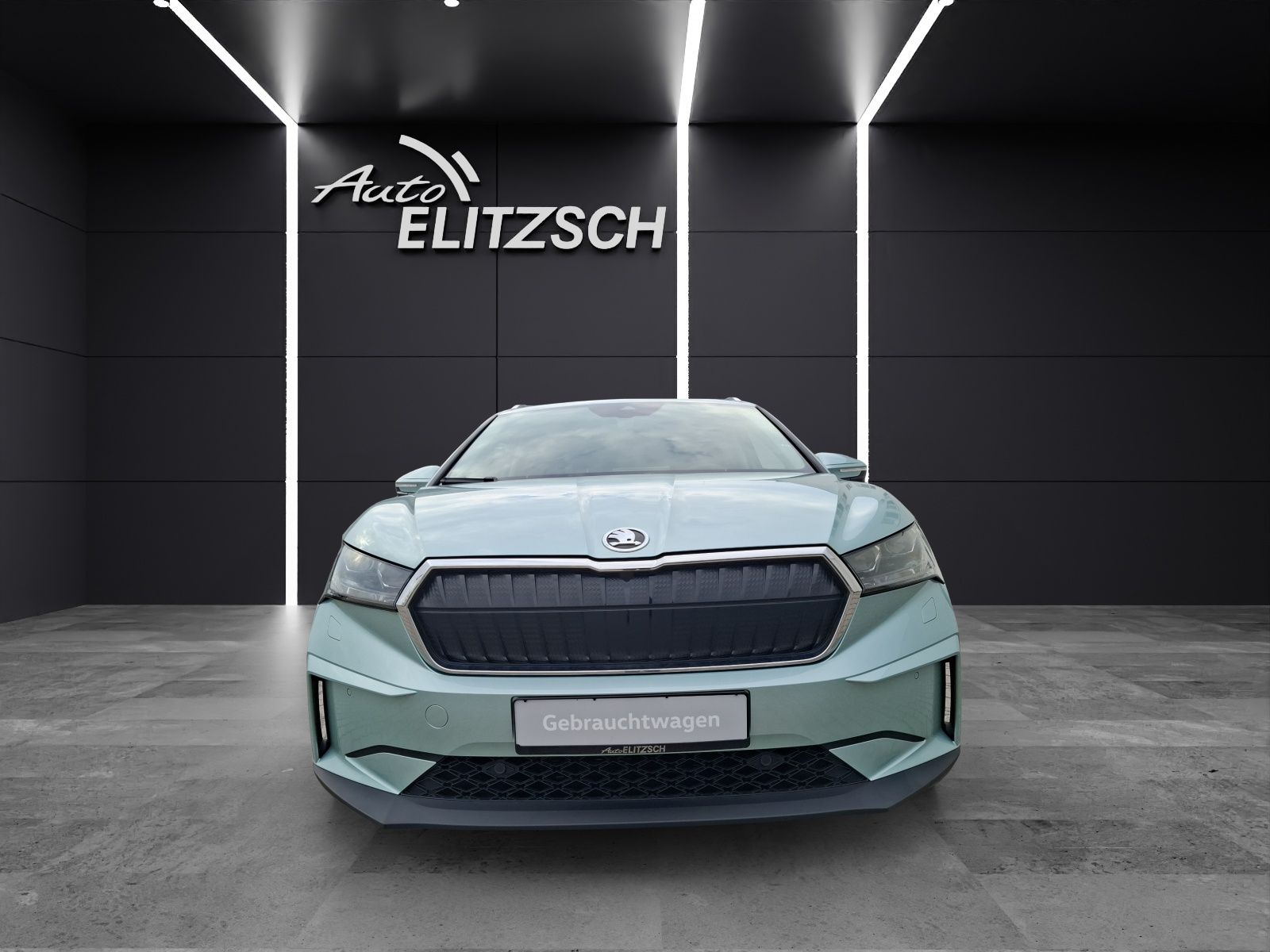 Fahrzeugabbildung SKODA Enyaq 60 Loft Matrix Navi ACC WP RFK SH 19"