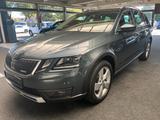Skoda Octavia Combi Scout 4x4/DSG/LED/ACC - Skoda Octavia Scout mit Benzin-Antrieb