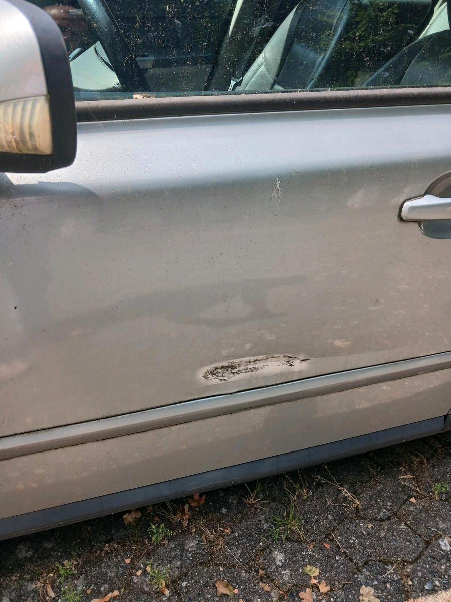 Volvo V50 2006 — photo 14