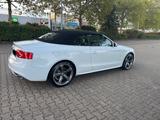 Audi A5 3.0 TDI S tronic quattro Cabriolet - - Audi A5 in Oberhausen