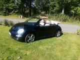 Volkswagen VW Beetle 1.6 Cabriolet, abnehmbare AHK - gebrauchte VW Beetle aus dem Jahr 2008