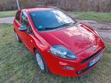 Fiat Punto 1.2 8V YOUNG Standheizung - Fiat Punto Gebrauchtwagen