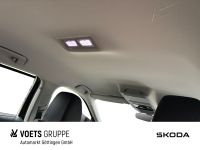 Skoda Octavia - Vorschau Bild 14