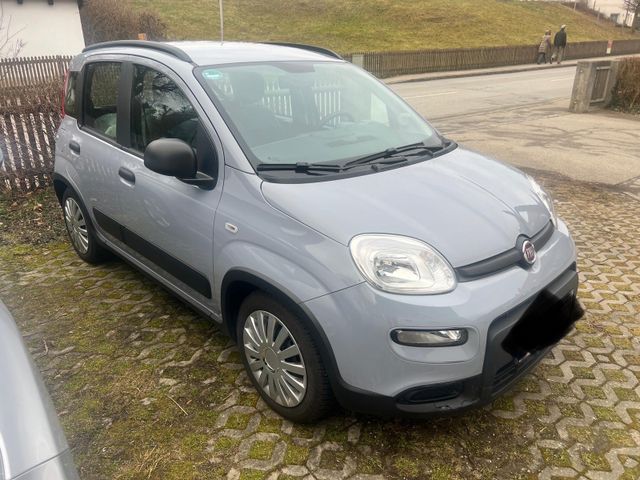 Fiat Panda City Life,Cross,Hybrid,Orig.16TKM