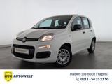 Fiat Panda 1.2 8V Easy (EURO 6d-TEMP) KLIMA+RADIO+USB - Fiat Panda in Düsseldorf