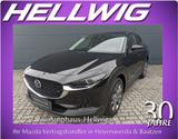 Mazda CX-30 2.5l (140PS) Takumi Leder Schwarz Ganzjahr - Mazda CX-30 mit Benzin-Antrieb: Takumi