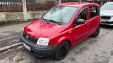 Fiat Panda - Fiat Panda in Dresden