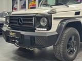 Mercedes-Benz G 350 d Professional Sthz. Seilwinde Scheckheft - Mercedes-Benz G 350: Standheizung