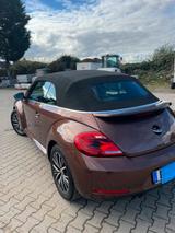 Volkswagen Beetle Cabrio - Volkswagen Beetle in Essen