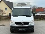 Mercedes-Benz Sprinter II DoKa 318/319 CDI V6 *THERMOKING -20° - Mercedes-Benz Sprinter 319 cdi