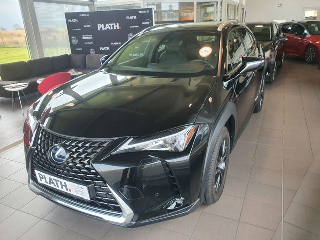 Lexus UX  250h Executive *NAVI*LEDER*SCHIEBEDACH*
