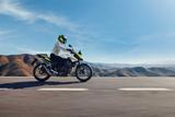 Honda CB 500 Hornet Black E-Clutch #2026 - Vorführer - - HONDA HORNET