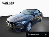 BMW 228i Cabrio Leder,Navi,Klimaaut,HiFi,USB,Xenon - BMW 228