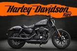 Harley-Davidson XL883N - Iron - HARLEY-DAVIDSON XL 883 IRON